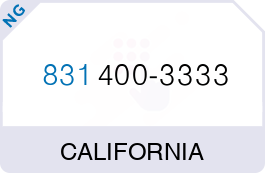 Buy Vanity Phone Number (831) 400-3333