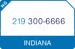 Buy Vanity Phone Number (219) 300-6666