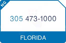 Buy Vanity Phone Number (305) 473-1000