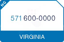 Buy Vanity Phone Number (571) 600-0000